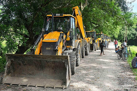 Operation to catch Royal Bengal tiger in Nagaon